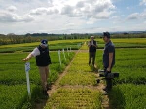 360 video filming - man in field of crops